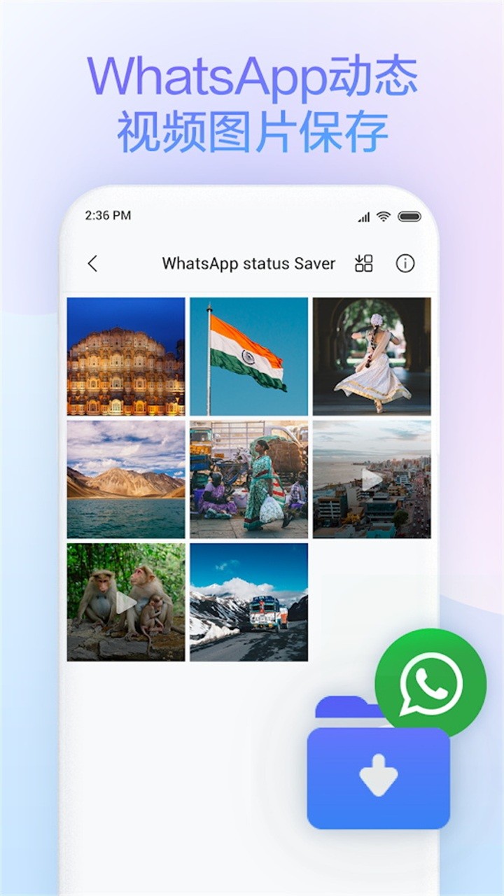 预览图3