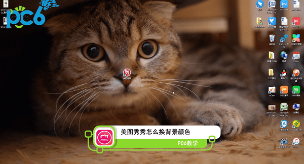 美图秀秀怎么换照片底色