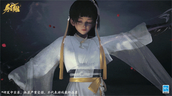 网易射雕手游