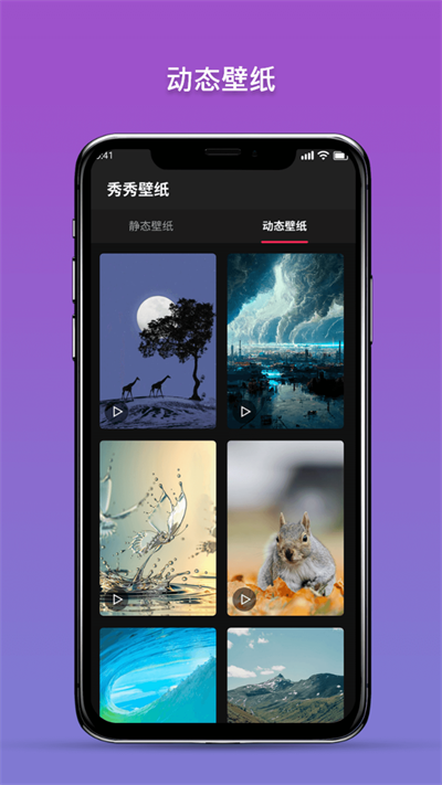 预览图1