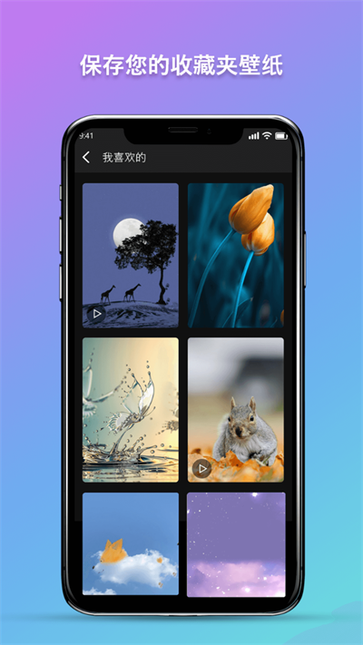 预览图2