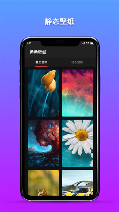预览图3