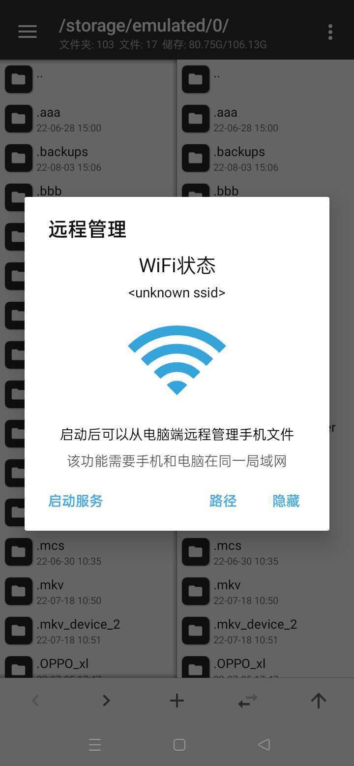预览图1