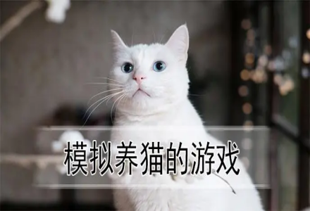 模拟养猫的游戏推荐