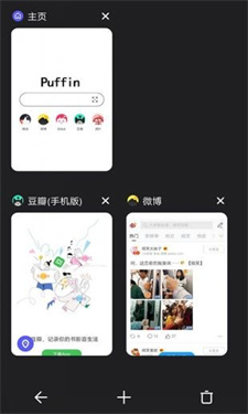 puffin浏览器免登录