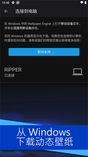预览图1