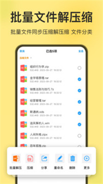 预览图4