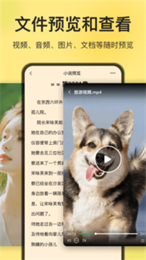 预览图3