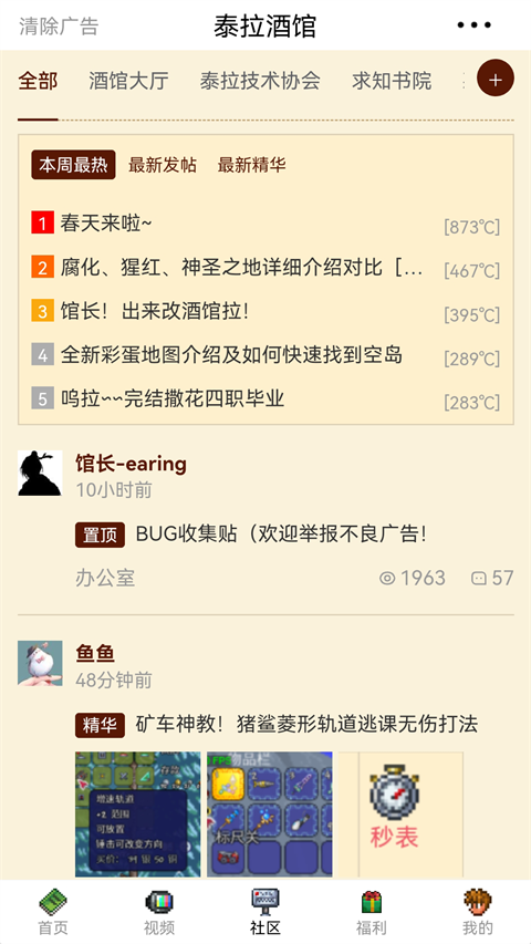 泰拉酒馆安卓版截图2