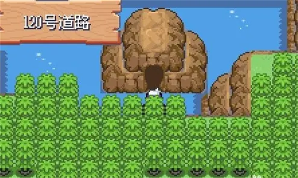 口袋妖怪漆黑的魅影5.0自带金手指
