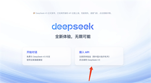 DeepSeek移动端
