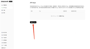 DeepSeek移动端