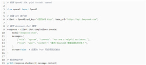 DeepSeek移动端