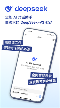 预览图4