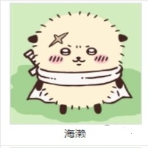 口袋吉伊卡哇