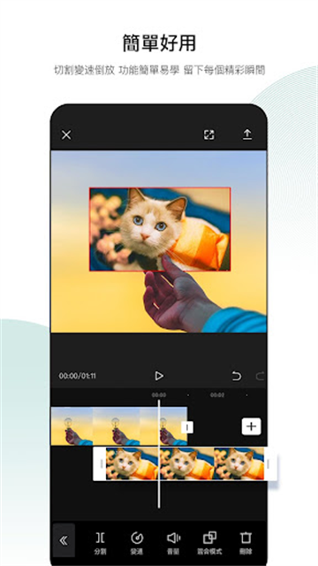 预览图3