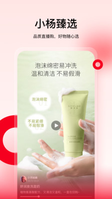 预览图4