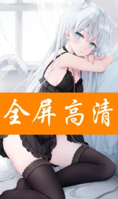 预览图4