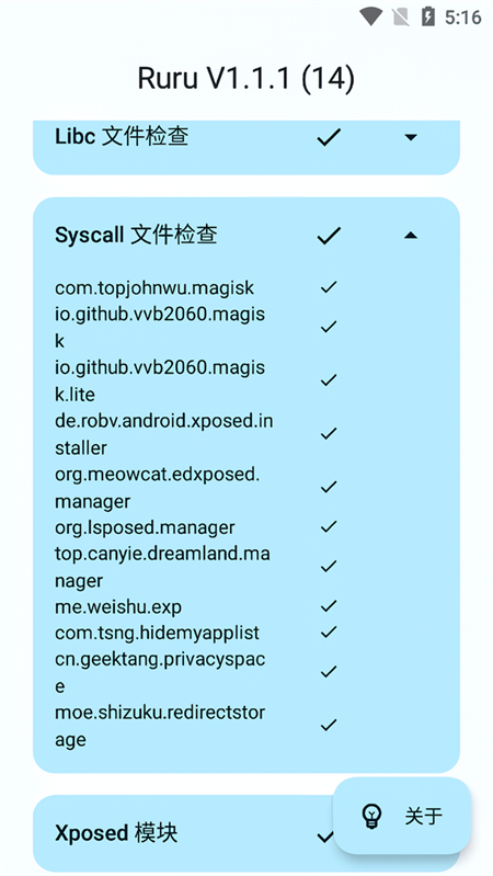 Ruru检测截图1
