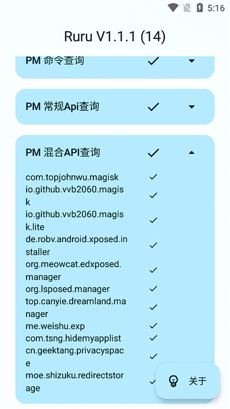 Ruru检测截图2