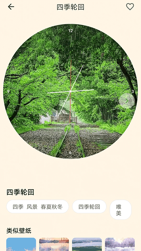 预览图4