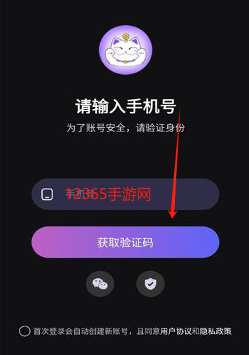 爆乐猫