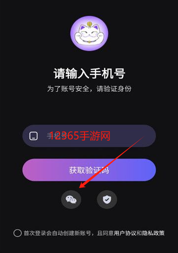 爆乐猫