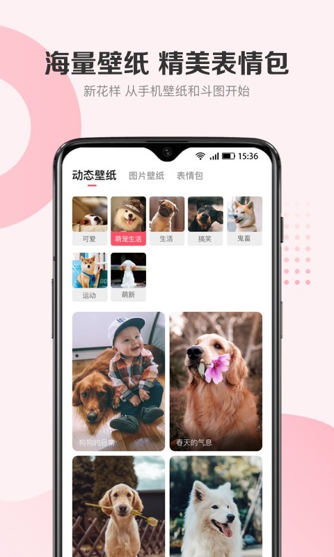 预览图3