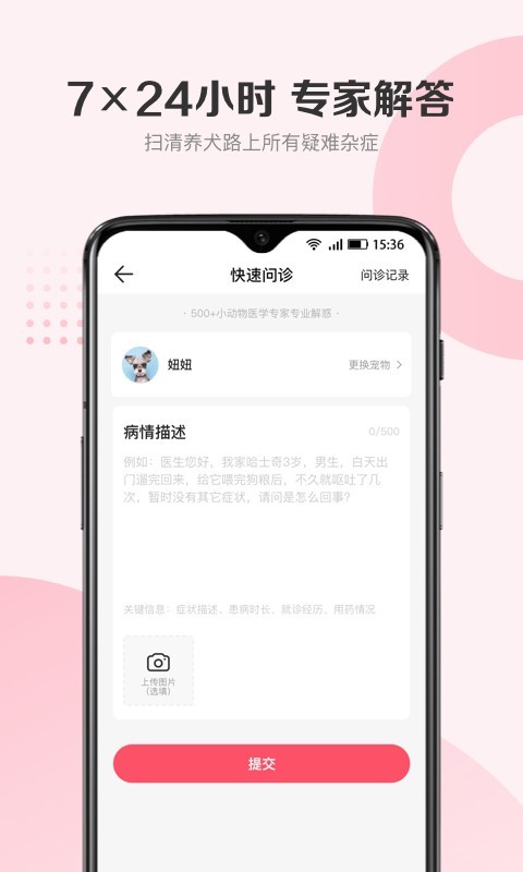 预览图2