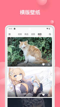 汽水壁纸手机版截图4