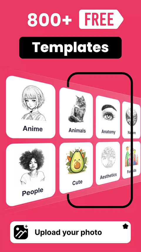 预览图5