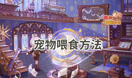 我的休闲时光怎么喂养宠物