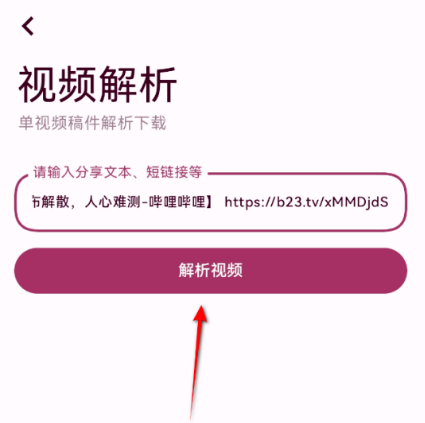忻视DownB站视频解析工具