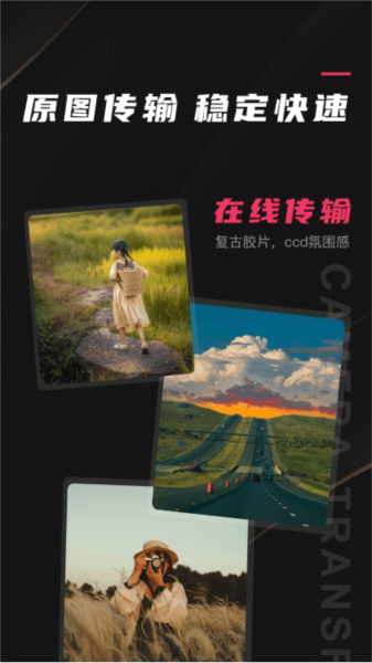 预览图4