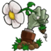 植物大战僵尸锤版