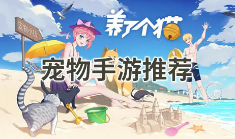 宠物