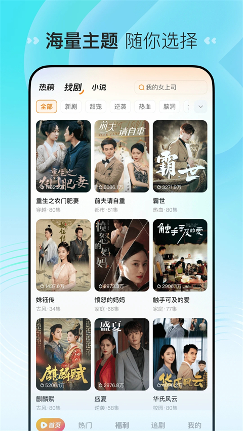 预览图4