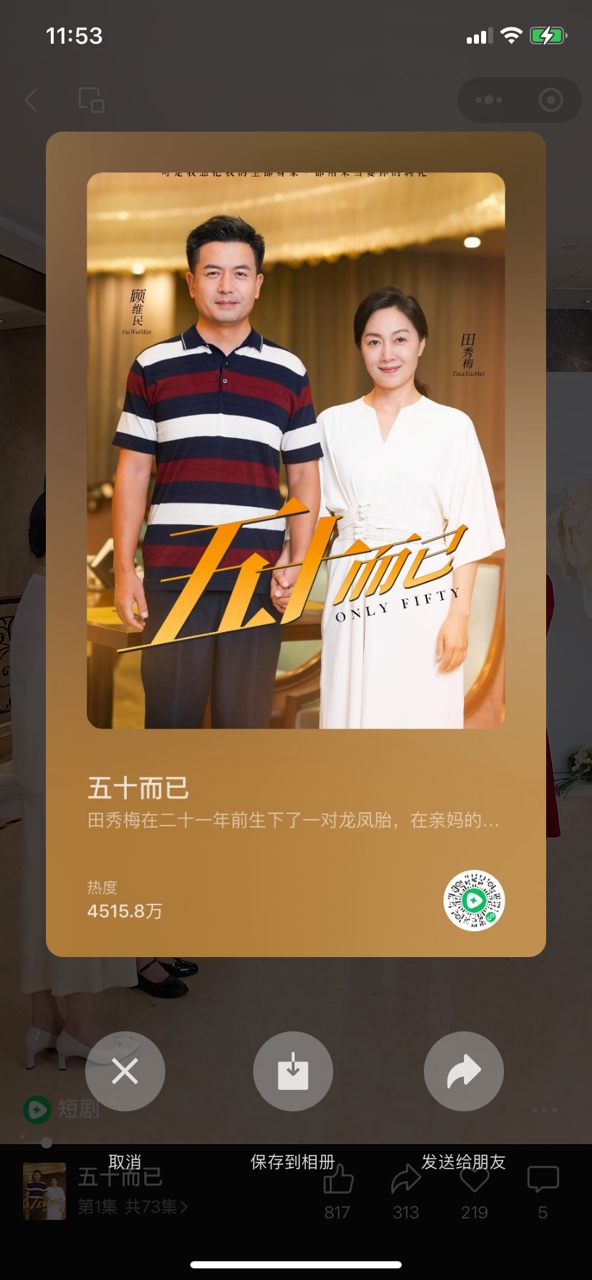 预览图4