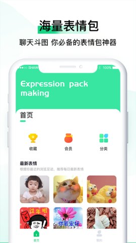 预览图4