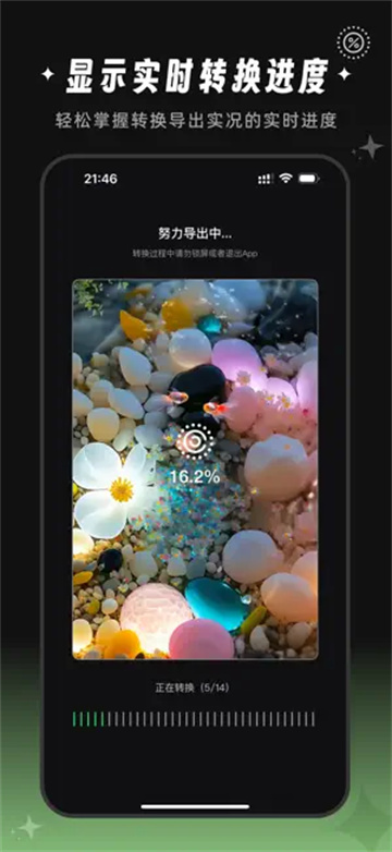预览图2