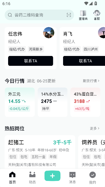 预览图2