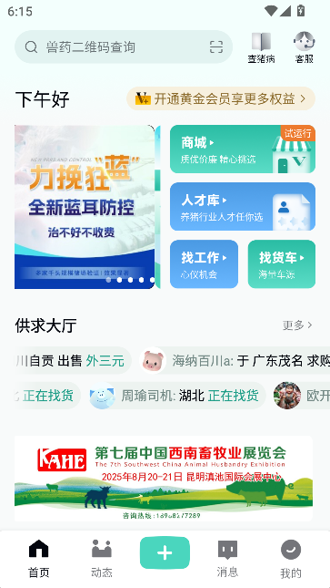 预览图3