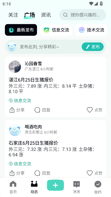 预览图4