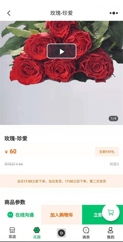 预览图4