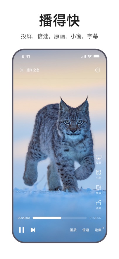 预览图2