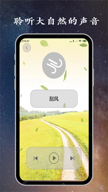 预览图4