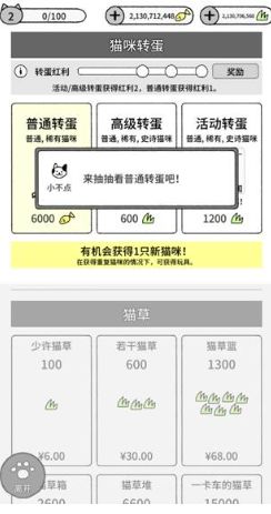 猫咪真的很可爱