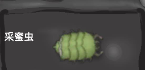 异虫女王手机版