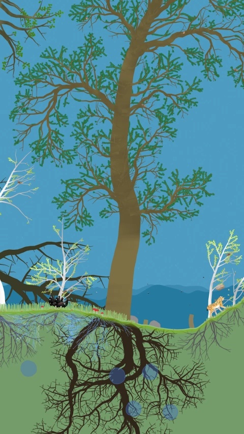 小松林手机版截图2