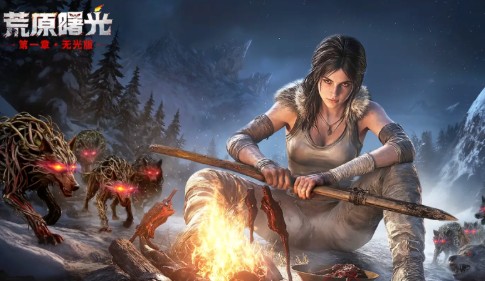 荒原曙光平民党怎么选职业